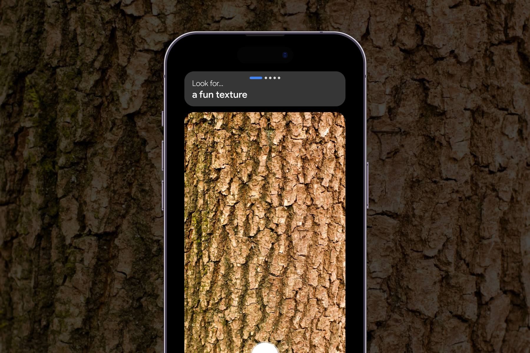 Wander capture screen with camera, microphone, and notepad tools